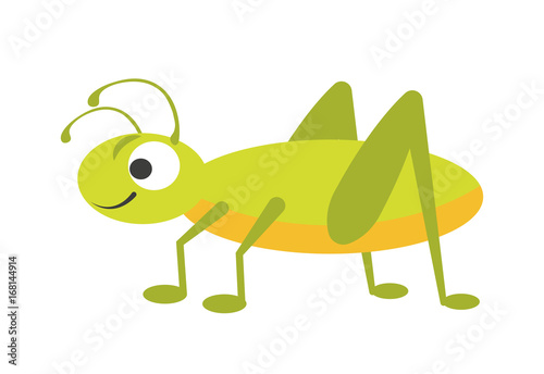 Funny vigorous grasshopper with big eye and long legs