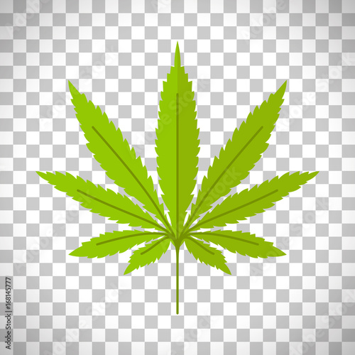 Marijuana leaf on transparent background