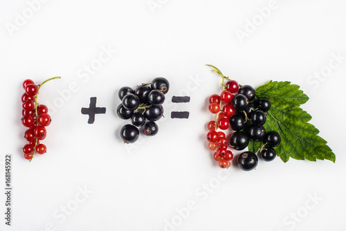 Black and red currant on grey background