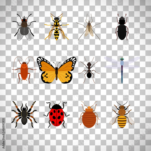 Insects set on transparent background © ssstocker