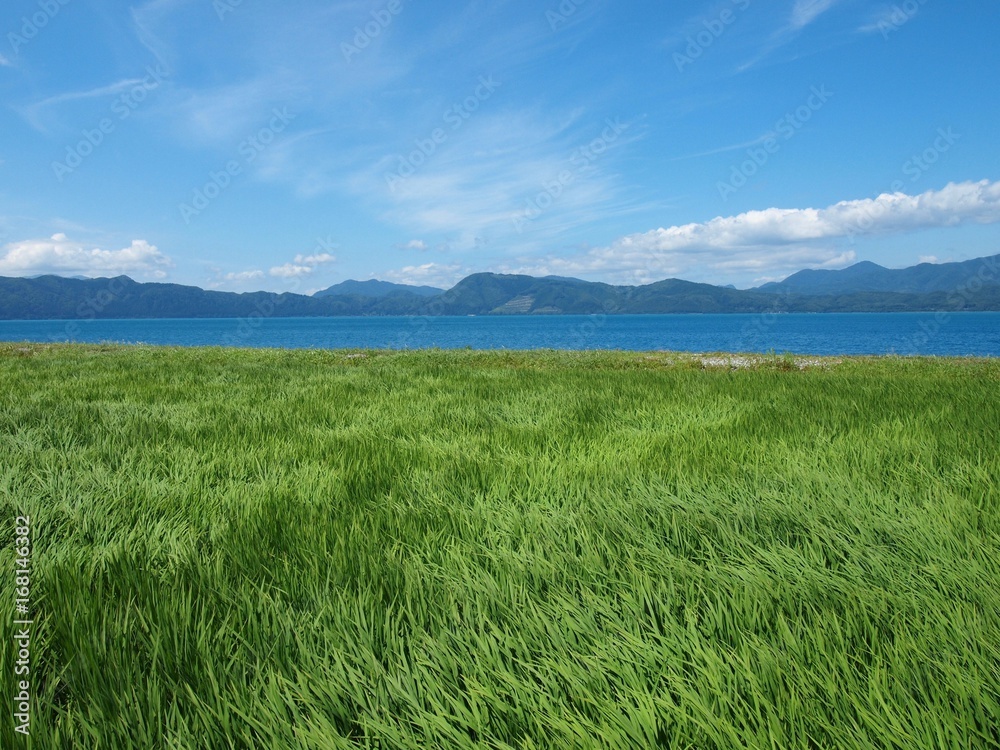 Fototapeta premium OLYMPUS DIGITAL CAMERA