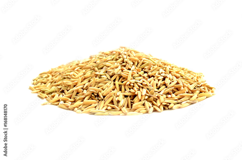 paddy background. dry method of brown paddy rice seed, paddy rice seed surface texture. paddy background. dry method of brown paddy rice seed, paddy rice seed surface texture.