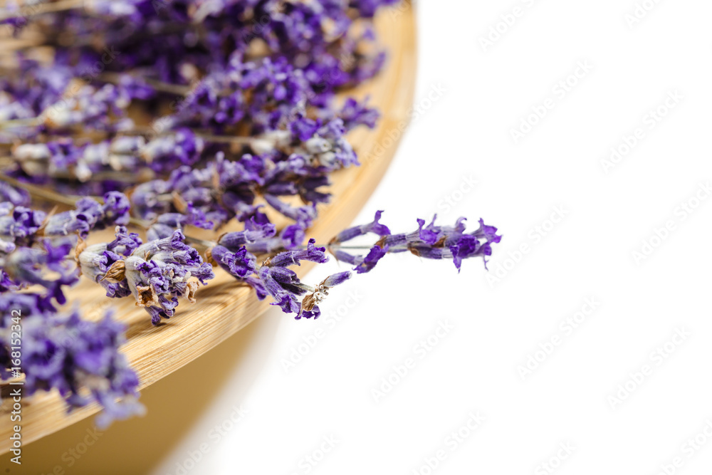 Fototapeta premium Fresh lavender