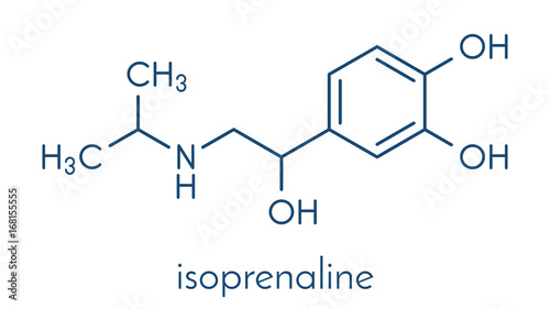 Isoprenaline (isoproterenol) drug molecule. Used in treatment of bradycardia, heart block and asthma. Skeletal formula. photo