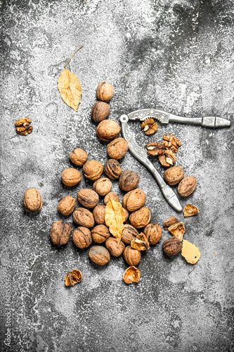 Walnuts with Nutcracker.