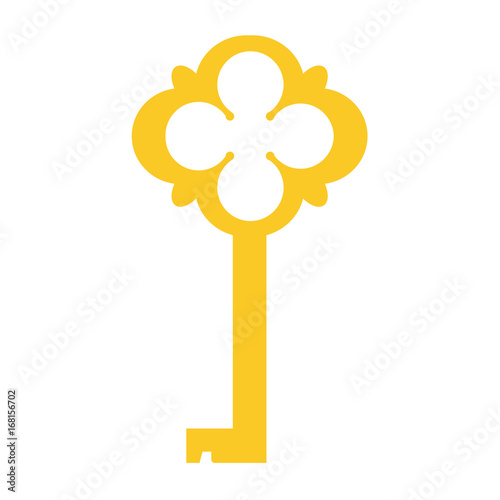 Golden key vector