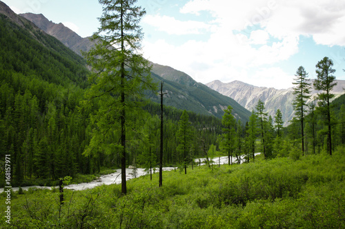 Altai mountains © Natalia