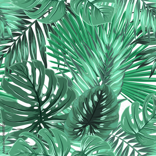 Tropical rainforest palm monstera leaves seamless pattern. Bright green on white island paradise background. Botanical vector design illustration.