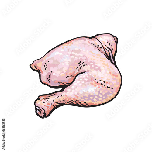 vector chicken thigh legs sketch illustration. Isolated illustration on a white background Raw poultry cutted meat