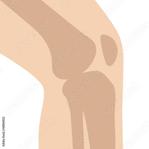 Knee bone joint / articulation with leg flat vector color icon for medical apps and websites