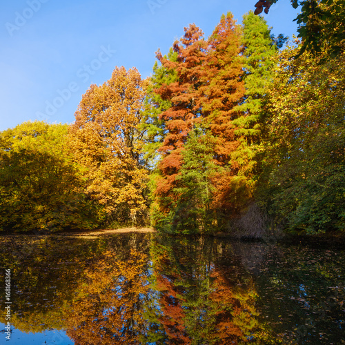 Autumn Landscape. Park in Autumn