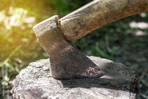 Closeup shot of metal axe in piece of log, selective focus photo