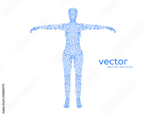 Abstract vector illustration of female body.