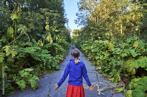 Teen girl standing on the road overgrown by high hogweed photo