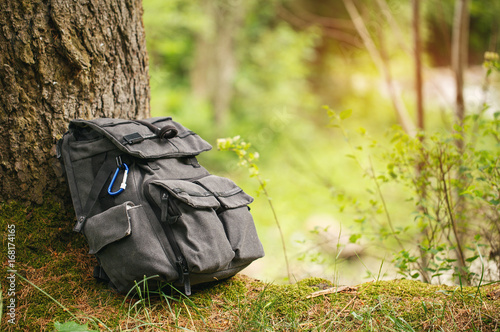Backpack for travel on the tree in the forest © serkucher