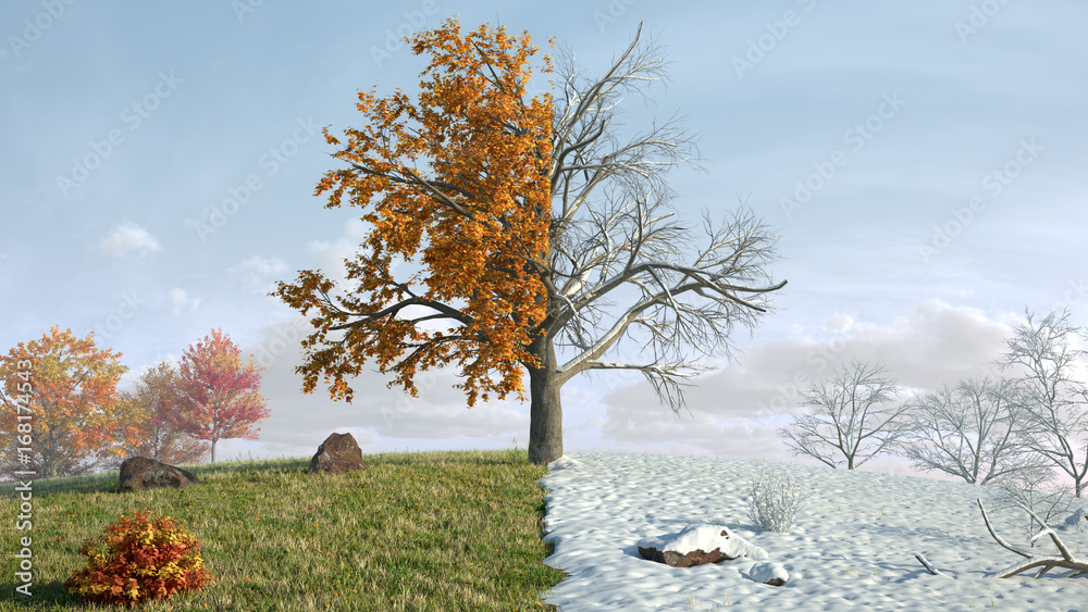 Fototapeta premium from autumn to winter