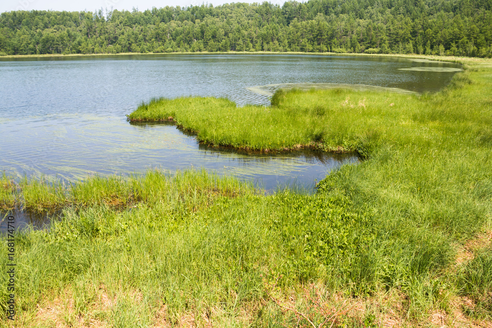 Asian wetlands Asian wetlands