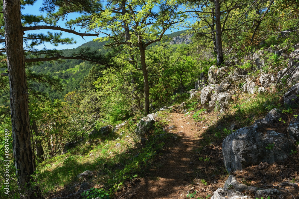 Beautiful nature hiking trails