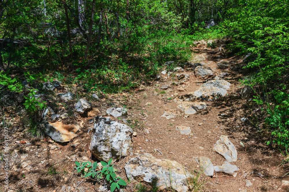 Beautiful nature hiking trails Beautiful nature hiking trails