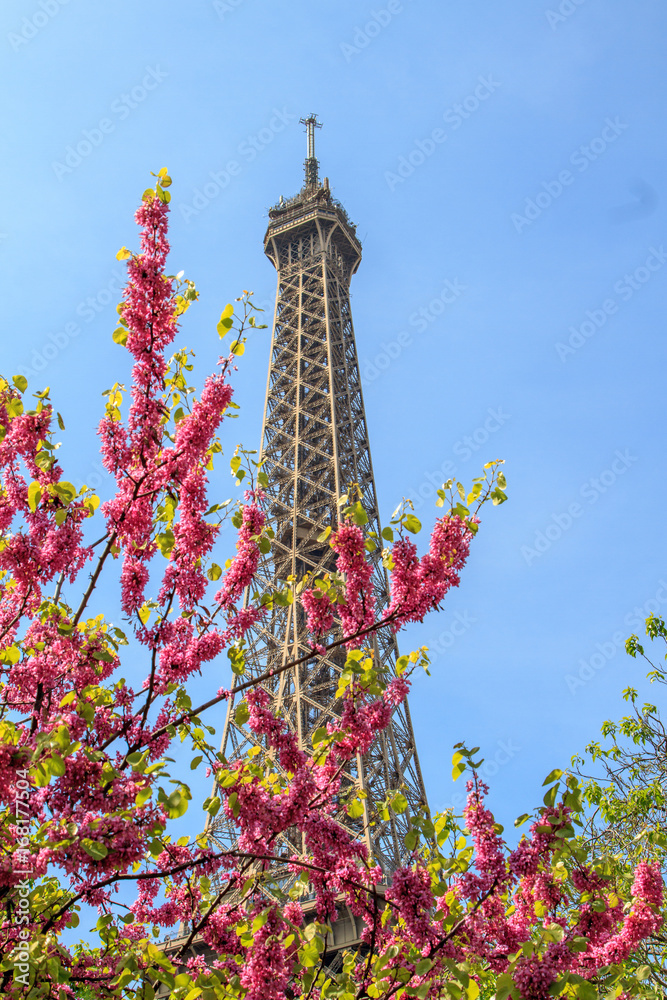 PARIS, FRANCE - April 20, 2017: A view of the most famous landmarks of Paris - the Eiffel Tower