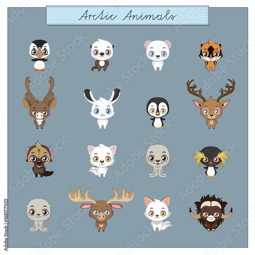 Collection of Arctic animals