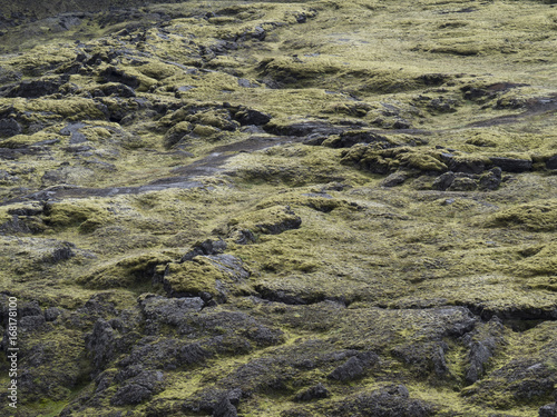 Arrière-plan et texture : lave volcanique recouverte de mousse (Islande)