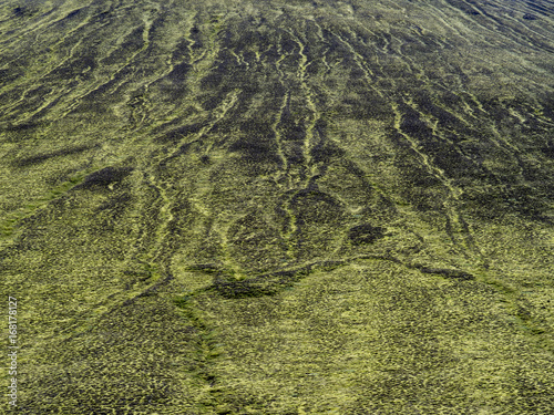 Arrière-plan et texture : terre recouverte de mousse verte (Islande, Landmannalaugar) photo