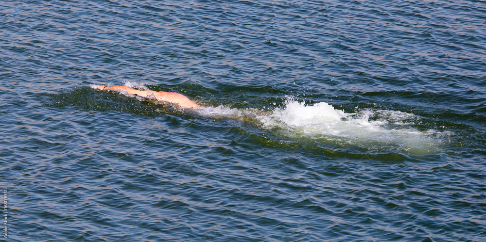 Obraz premium The man is swimming in the lake