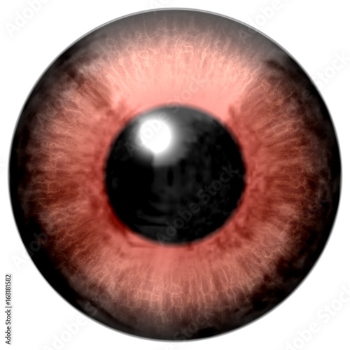 Beautiful scary abstract monster eye texture