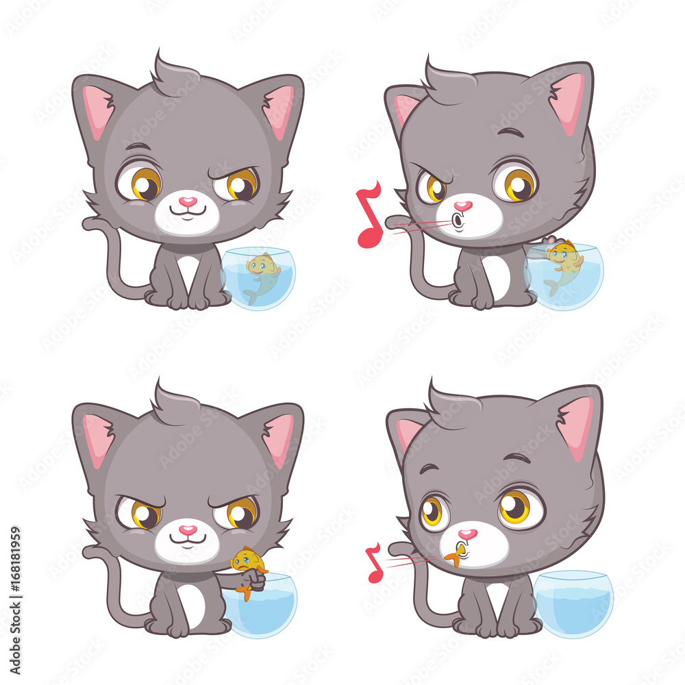 Cute gray cat moments
