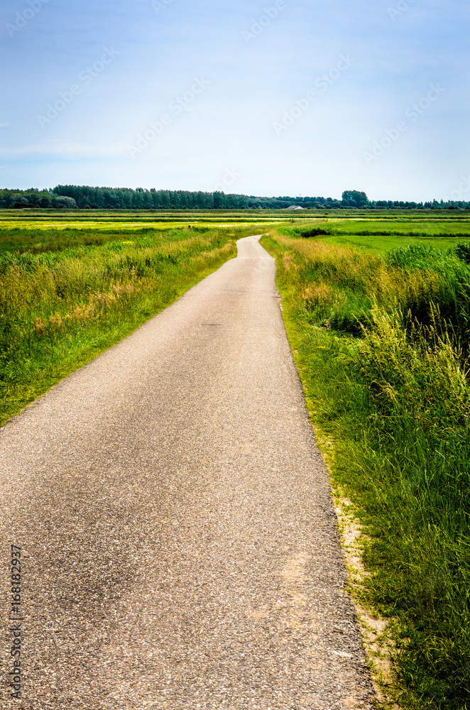 Obraz premium Gravel path in Italian countryside