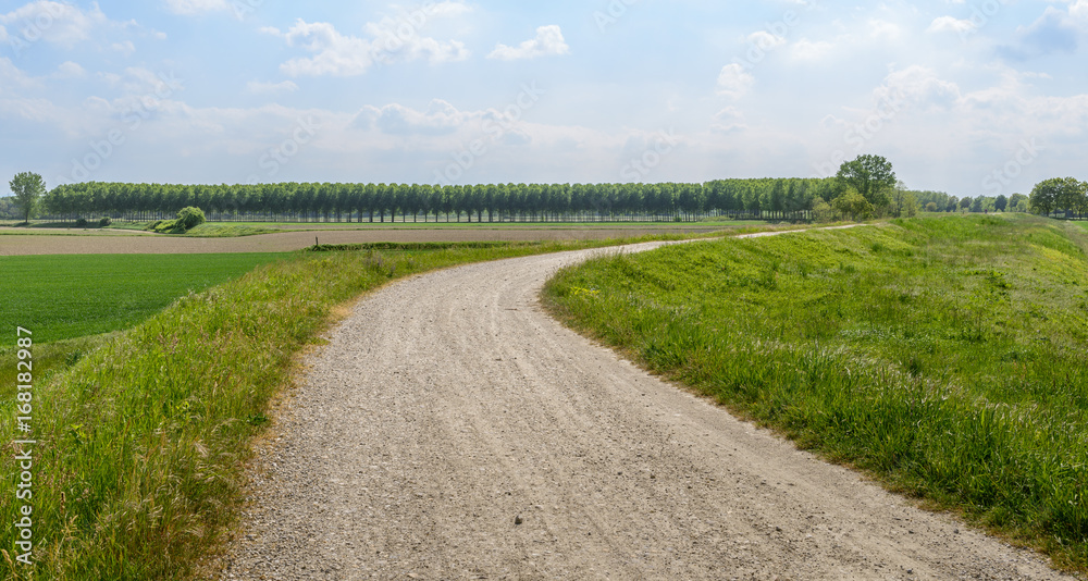 Fototapeta premium Gravel path in Italian countryside