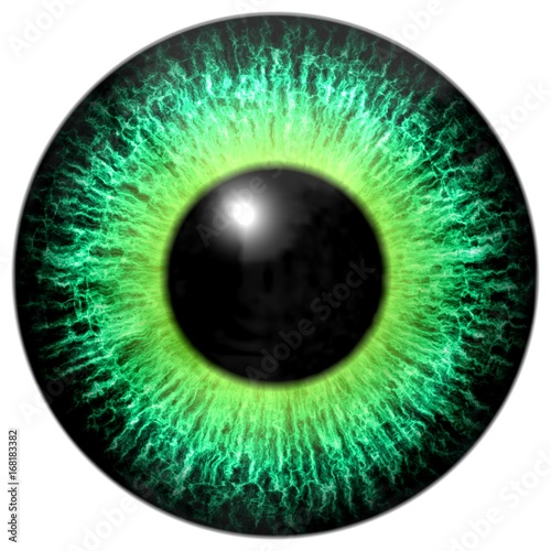 Beautiful scary abstract monster eye texture