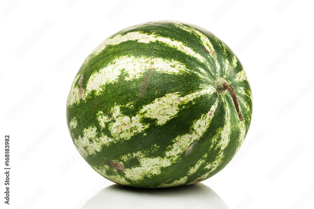 watermelon standing isolated on white background watermelon standing isolated on white background