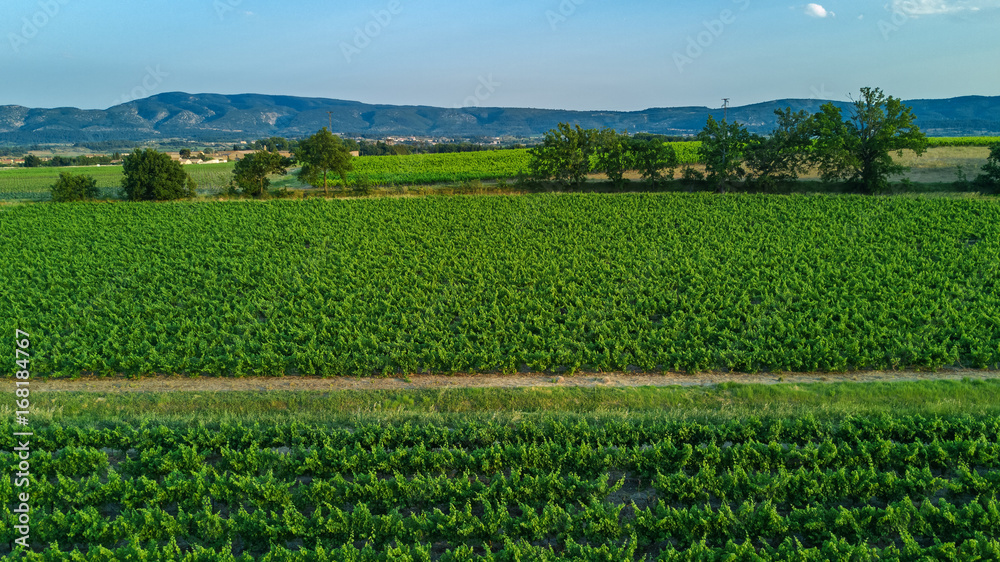 Aerial top view of vineyards landscape from above background, South France
Aerial top view of vineyards landscape from above background, South France