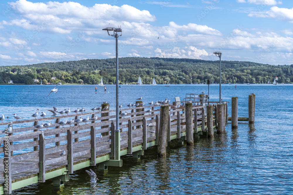 Fototapeta premium Schiffsanleger in Starnberg am Starnberger See mit Seemöwen und Stehpaddlern