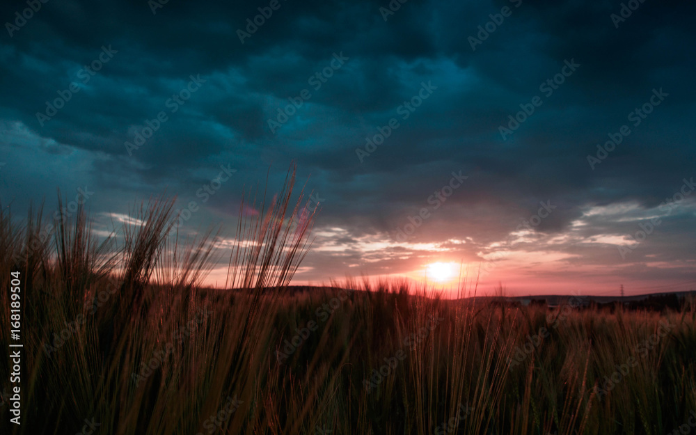 Fototapeta premium Sonnenaufgang