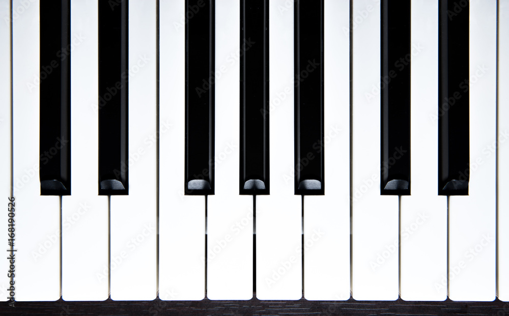 piano keys-top view piano keys-top view