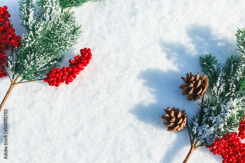 fir branches on snow, pine cones and red berries