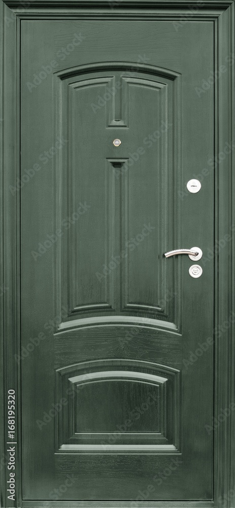 Obraz premium Entrance door (metal door)
