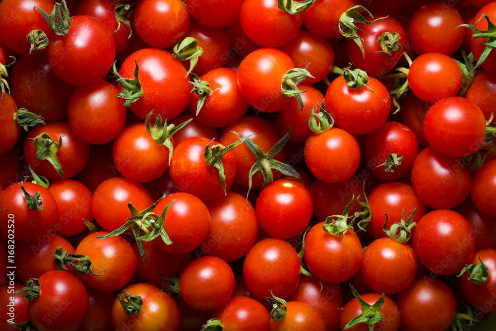 Little red cherry tomatoes nature background. - obrazy, fototapety, plakaty 