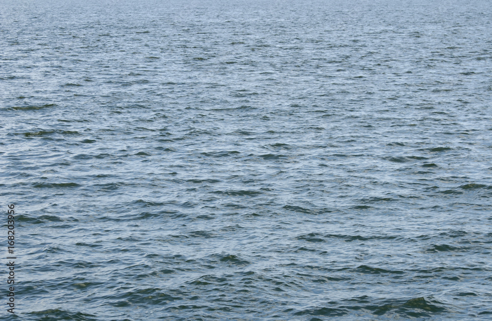 海 素材 海 素材