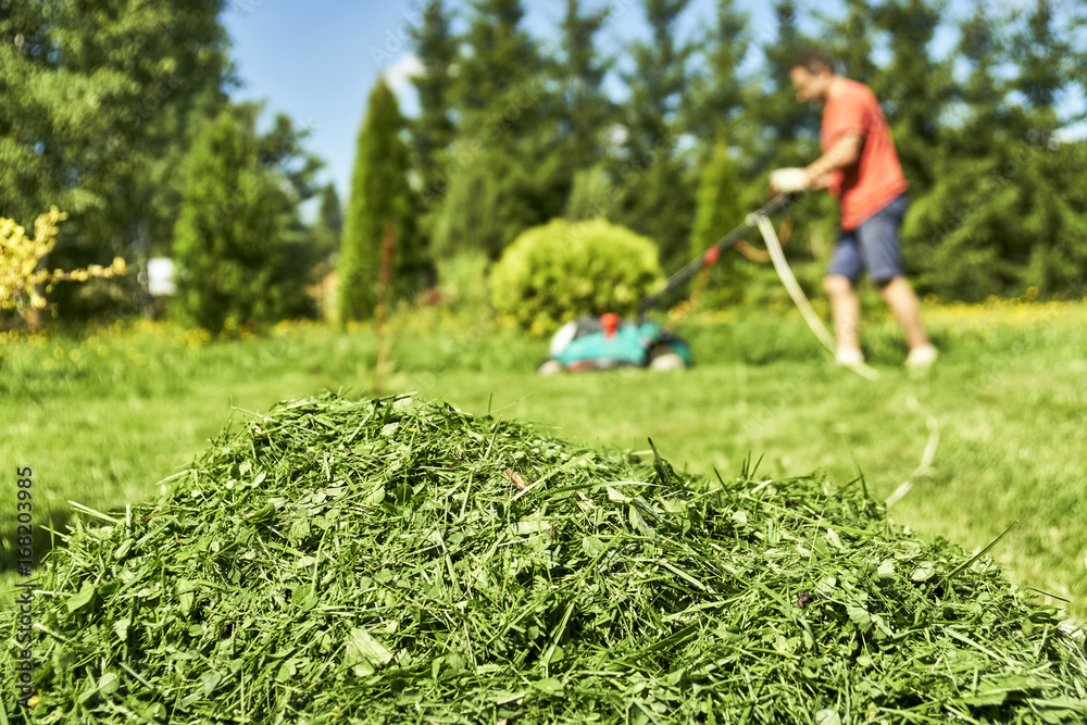 Stack of trimmed grass on the foreground and a man mowing grass on the blurred background Stack of trimmed grass on the foreground and a man mowing grass on the blurred background