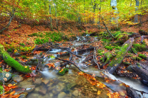 rapid mountain river in autumn.