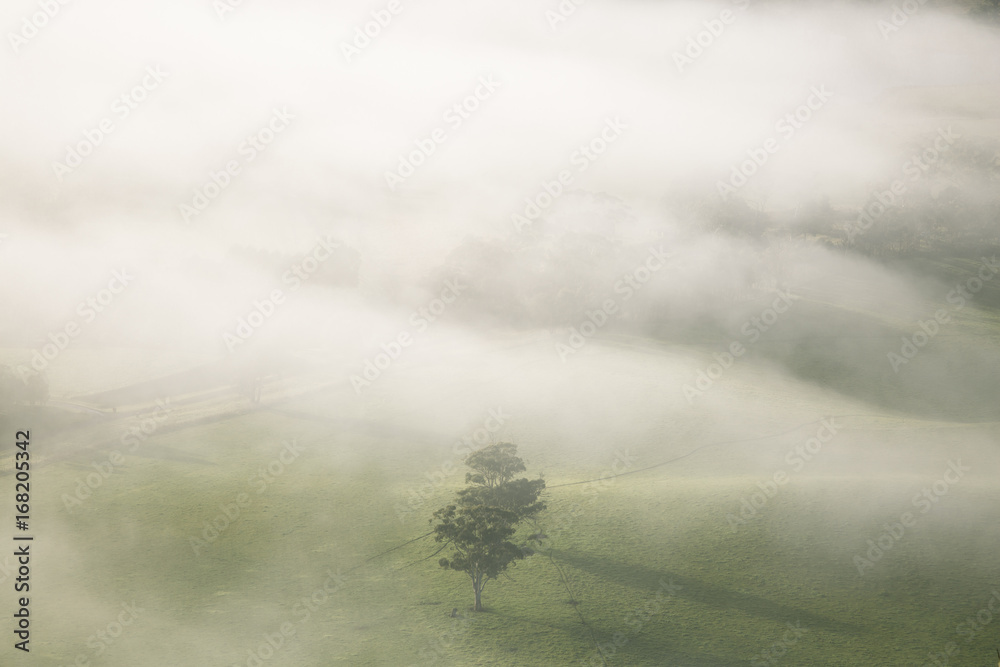 Misty Landscape on Early Morning