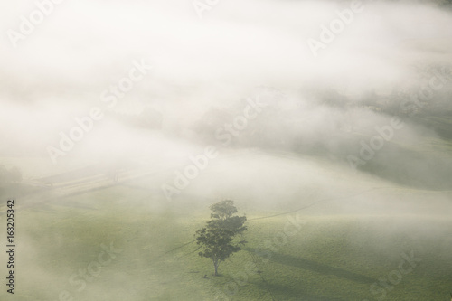 Obraz na płótnie Misty Landscape on Early Morning w salonie