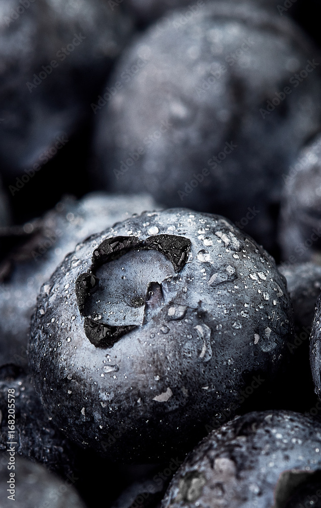 Freshly picked blueberries. Wild berry, Healthy food