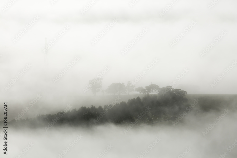 Misty Landscape on Early Morning