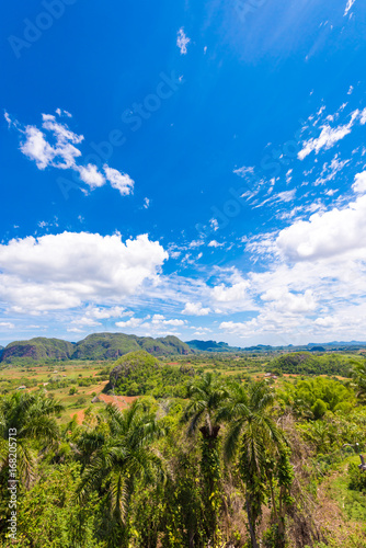 View of the Vinales valley, Pinar del Rio, Cuba. Copy space for text. Vertical.