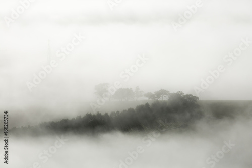 Misty Landscape on Early Morning